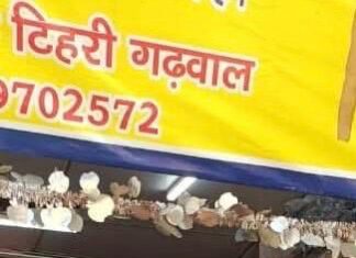 धामी सरकार का यह बजट सबका साथ सबका विकास के मंत्र को करेगा साकार :सी.ए. राजेश्वर पैन्यूली