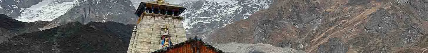 Google search engine