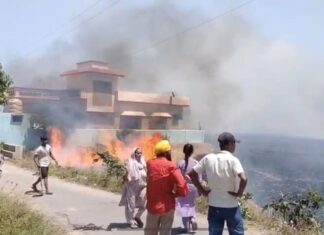 बड़ी खबर: भीषण आग ने राख कर दी 12 बीघा गेहूं की फसल, किसानों को लाखों का नुकसान