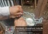 Action: MDDA का अवैध निर्माणों पर शिकंजा: देहरादून-ऋषिकेश में दो निर्माण सील